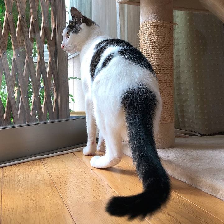 82332d5f d226 4187 a368 4fe6dabbef4f 1654487357974