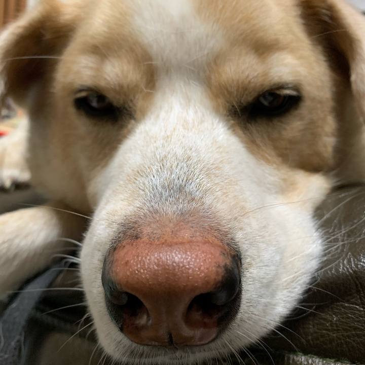 82334074 ef6e 4749 b089 9ae64e8fe84b 1574519339934