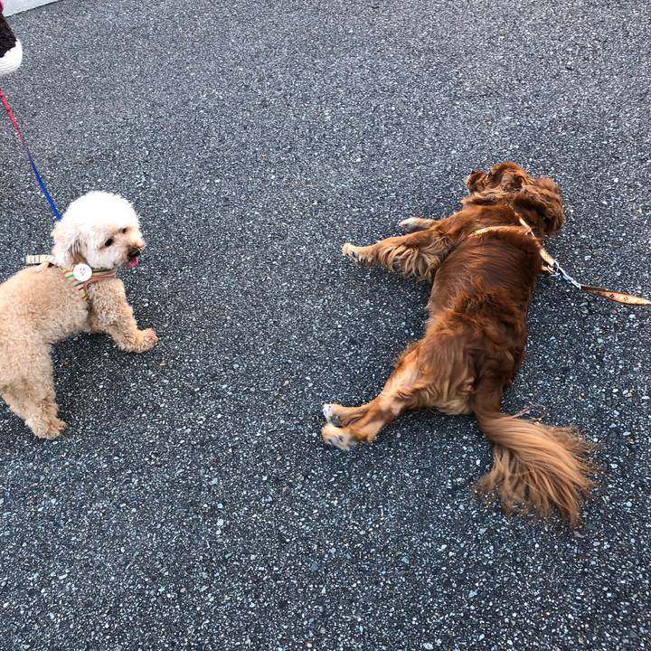 82339daa eb0d 4be7 b42e 1599bb77d6cc 1633737027888