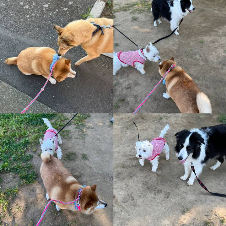 8233a231 f055 4467 bdbc ac0864ce3a0f 1656282448971