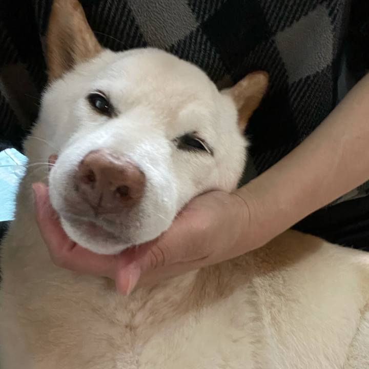 8233c343 28a8 494a bdf1 b15a794157d7 1635425784923