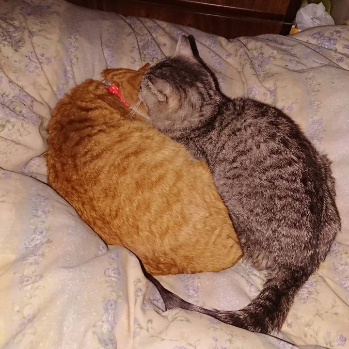 823405c7 7201 4624 af57 6d96e10aaac7 1579791654528