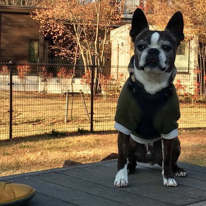 823407fe 155f 44ec 9787 9e78c08be7b8 1510455304634