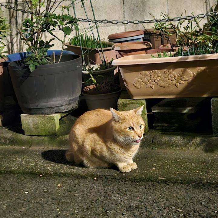 8234168e 56cf 4e7e addc d900169b98b1 1708487495103