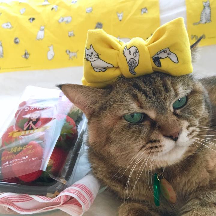 823427f5 df1d 47e2 9c5a 633240f861ab 1524797164725