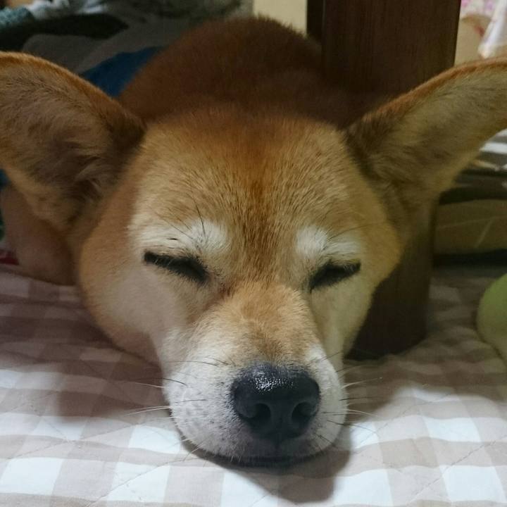 823480b6 e2b6 4936 b2a2 12321d102ac6 1526033153823