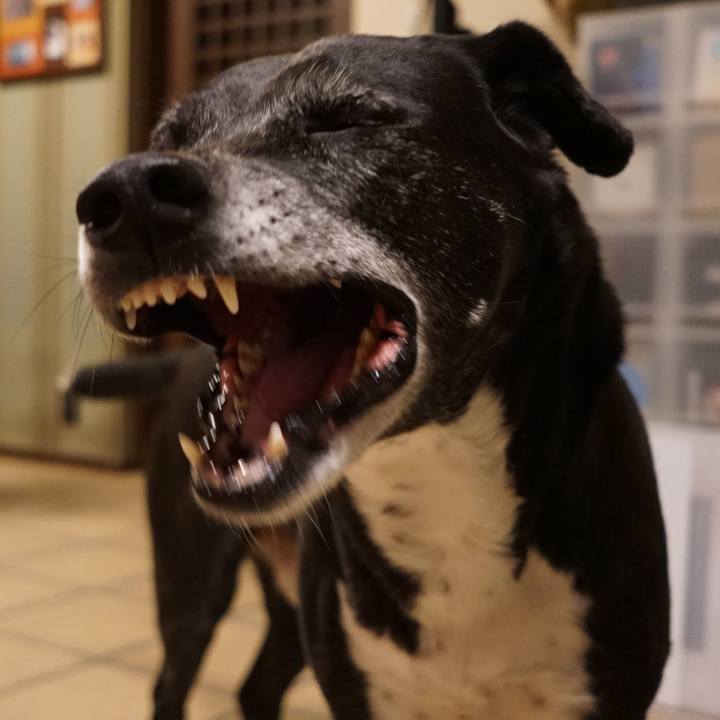 82349705 10a3 4bb1 b6ce ac0d595ae789 1772967566555