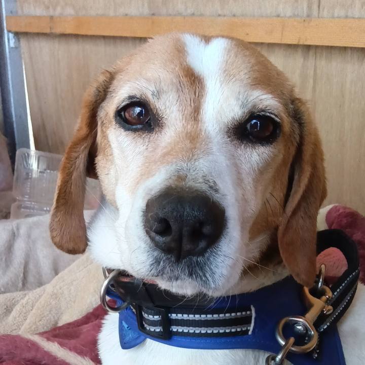 8234a0ff 5443 4f34 9a7c adf4419e05ca 1742987103983