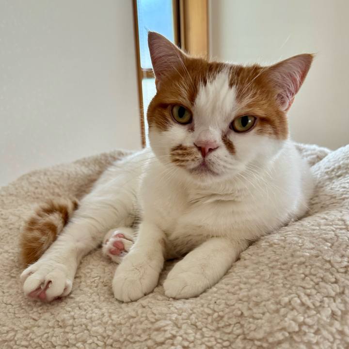 8234a358 cab2 4101 be04 f223065d83f3 1761464821436