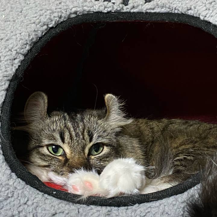 823527c5 898f 44e1 b0a8 241774f85570 1578234550135