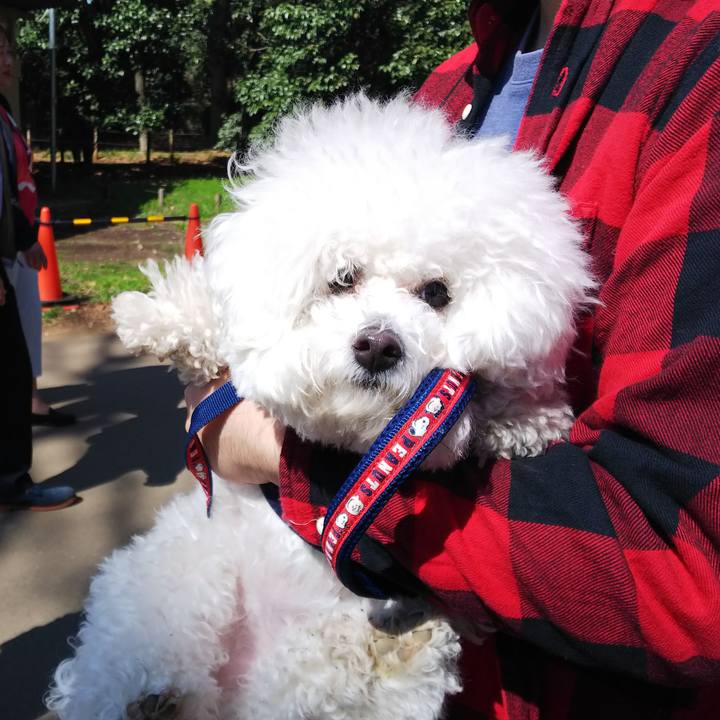 82354a32 6791 4f44 9f5d 32b17a3081f6 1521959375072