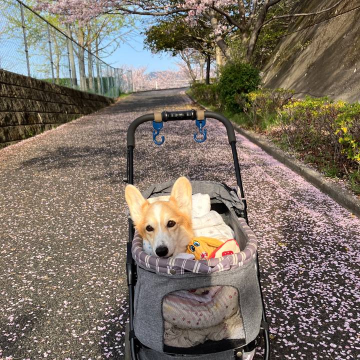 8235548b 92c7 47ff a318 39899ac836f1 1775193464331