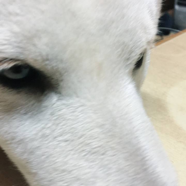 82357aea 7c60 4f5b b9c4 54eda0813440 1514236739013