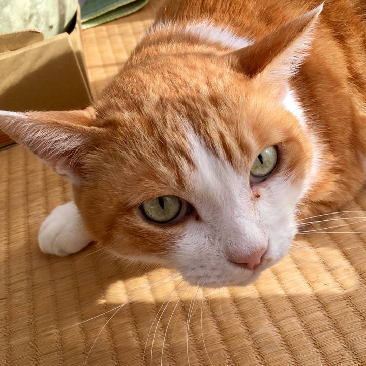 823582c4 9b37 4e72 b356 83e8b3e429c8 1570691149366