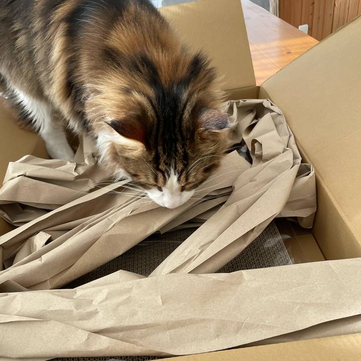 82358c5c bb63 4a91 8e37 599a5f710808 1671932120394