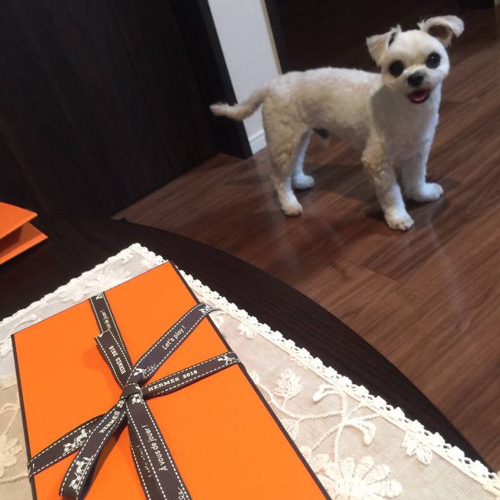 82359101 735c 47c5 bec3 811e0afa1ef4 1528287159834