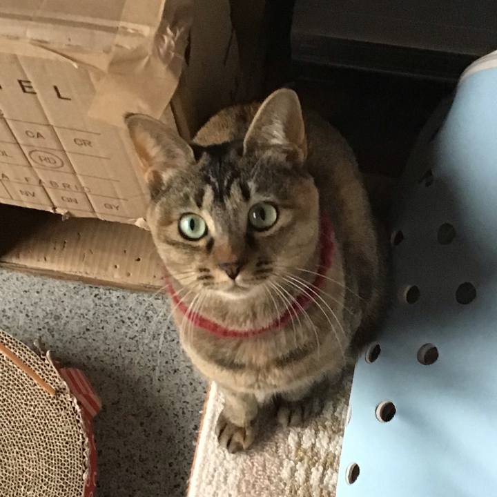 8235fc66 f310 4081 a860 87512f2515cd 1611299135502