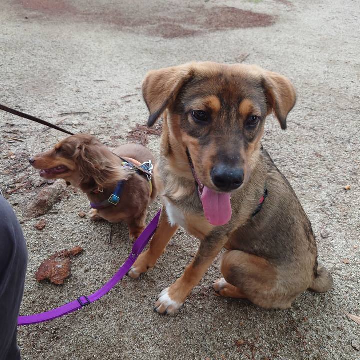 823639bd 31a2 4a51 b6bf abfe5e8405a4 1687086886125