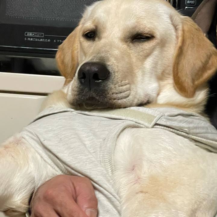 82364960 77ef 419d 8acb afce6c6e6a2f 1636792334800