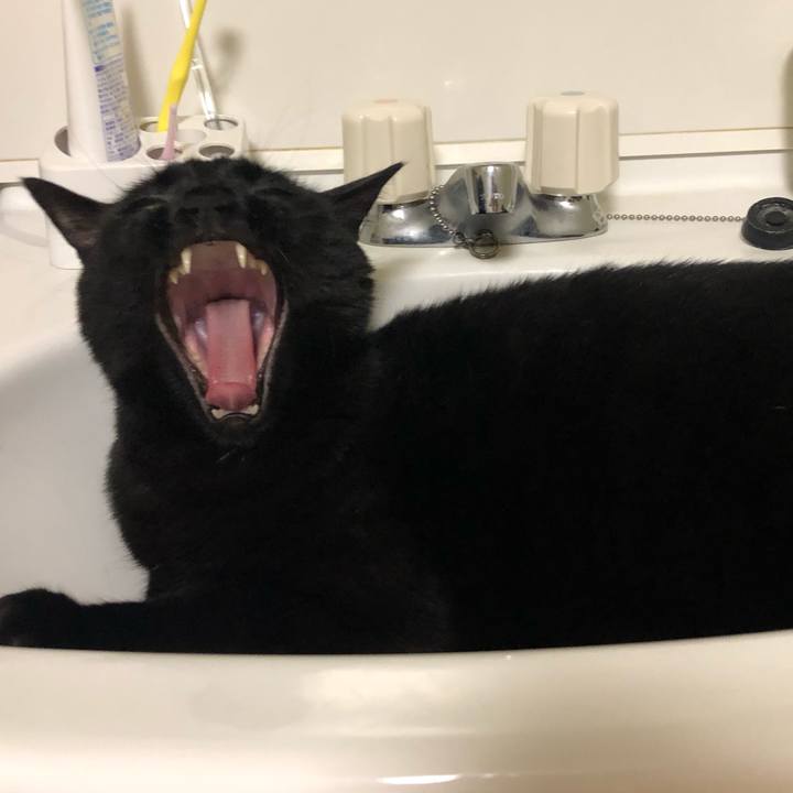 823654c2 6485 4bf9 b256 725beac80639 1566135521338