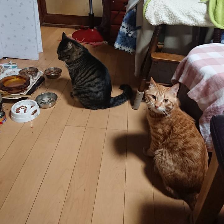 82365ccd 7b99 45fa 8a8f 52a2de01bebb 1644057110174