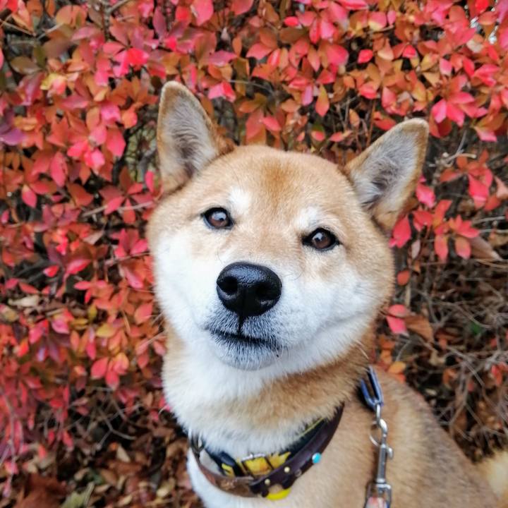 82367bed e17e 4663 a55b 2da406b17921 1606958265803