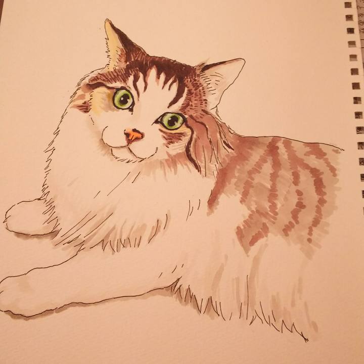 8236aa03 df43 48ac 9ec1 7be598b387a7 1535432358687