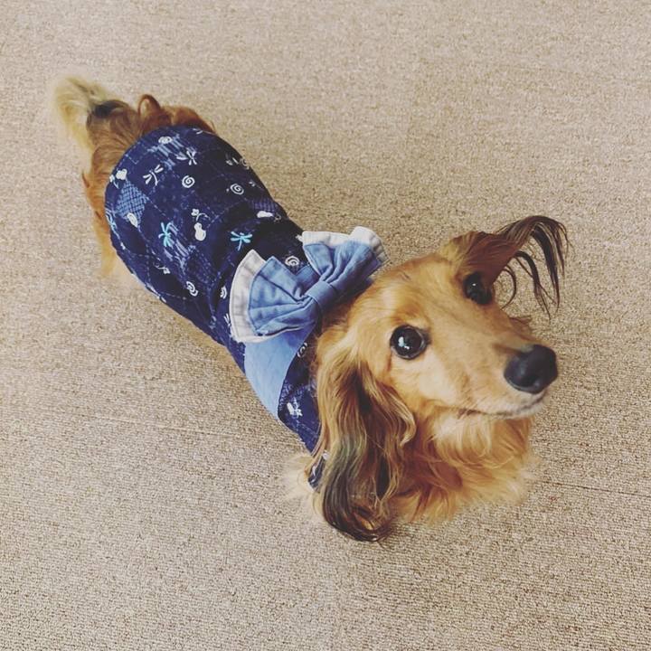 8236ae4c fd84 4d8d 9519 a5cb4ffdbecb 1656392745448