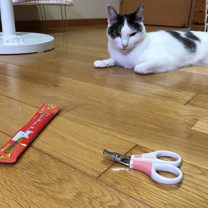 82371cab 2691 427b 8ca0 efcf1aaa588f 1662206601436