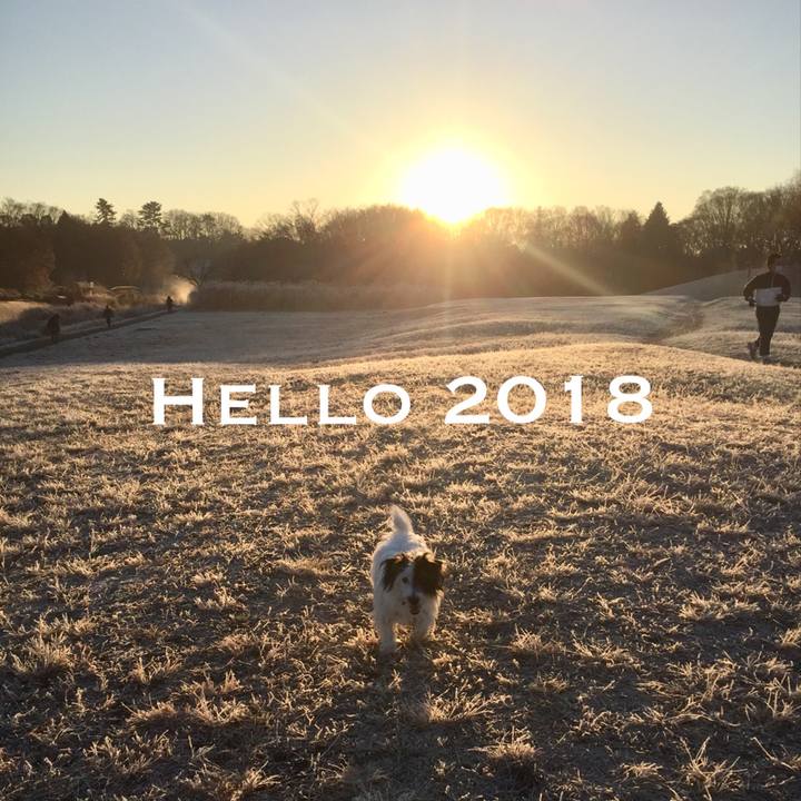 82373565 49ec 44d5 981f 1a9c1868c494 1514781826741