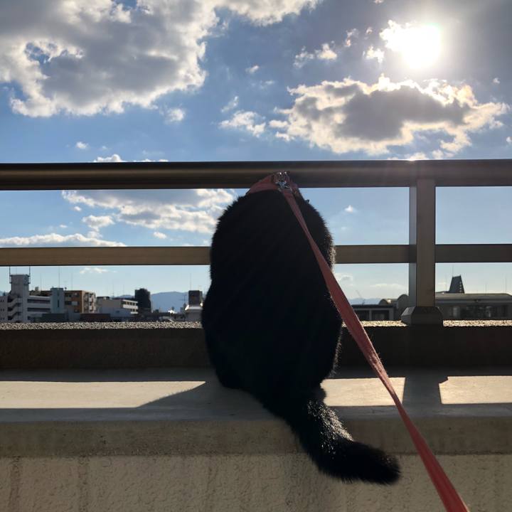 823749a2 006f 40bb b4e7 7ed29f116e87 1539729252035