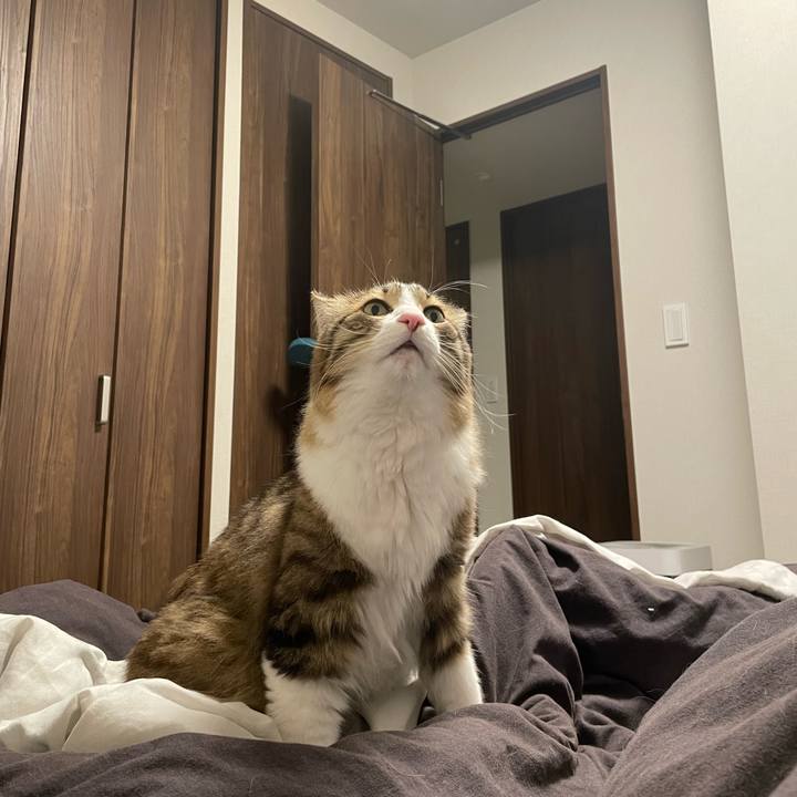 82374c0d cc08 499c 8be1 e6c19543059e 1773306240394