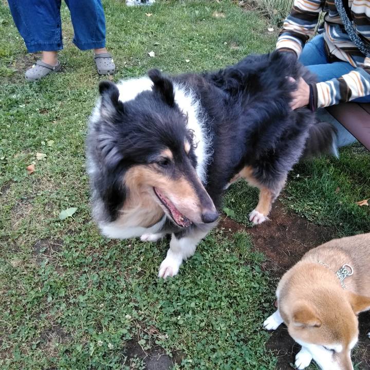 8237682c 7ce5 4462 bf3b 3782862386d4 1565489588590