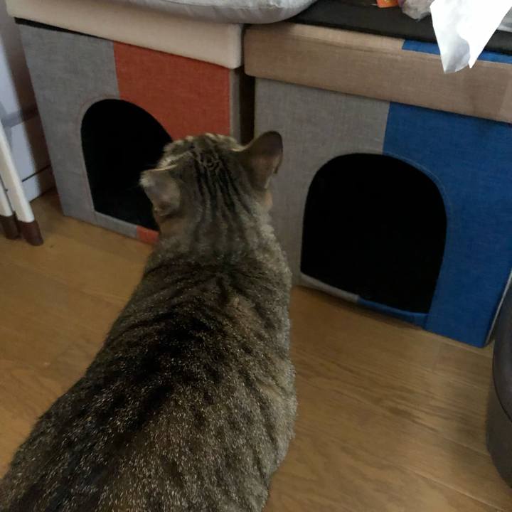 82376c00 9f02 4990 9cdf 320612b2eb38 1562313847940