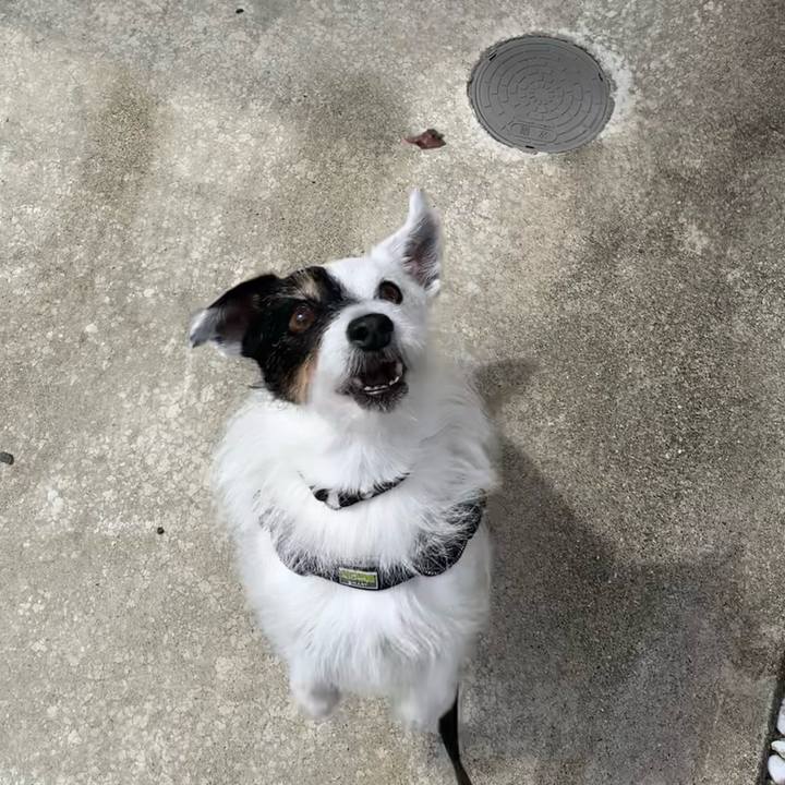 82379ecd 42f2 4aec 9fa3 96a00706b8b7 1749687789824