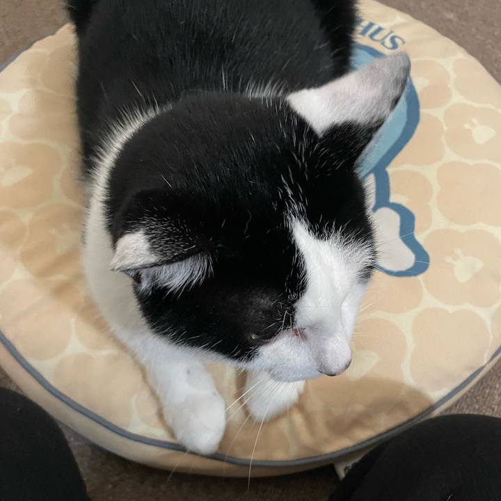 82379fb2 e22c 4064 85a8 e4490538def9 1723492903791