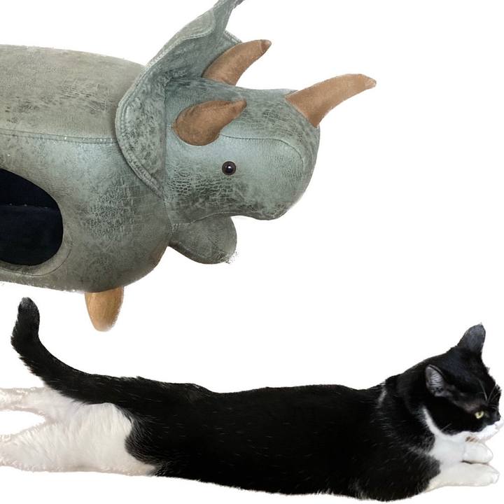 8237cb2c c461 45c6 9be5 2bb6c0f9ea32 1663829475265