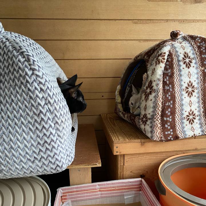 8237e18d 0aa5 4465 a82f 58e37333168b 1636590780928