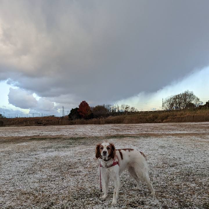 82381a09 08a6 484c 8f5f 269a6674fcb1 1671763817576