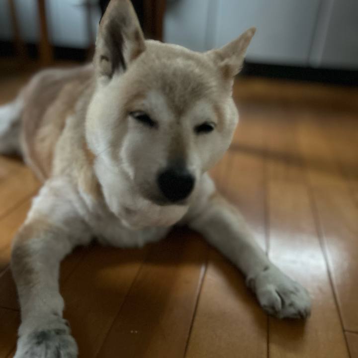 82383426 0bd8 42f8 8fa9 ba842c038738 1748853932460