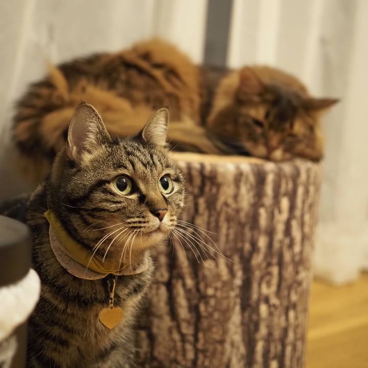 82385b5d 643d 4617 a11d 0128ab059027 1711079666615