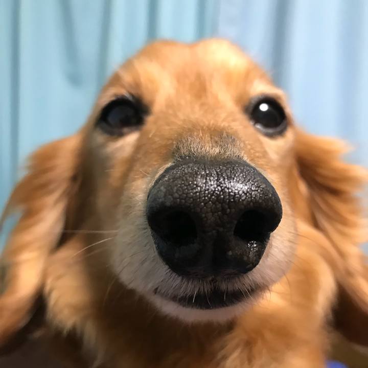 8238920c 0f83 4780 854c a2b47713aa3f 1523527971846