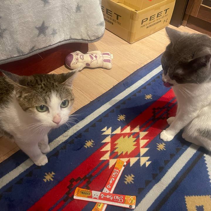 8238bef1 05dc 4dc3 a463 970018309572 1632302564234