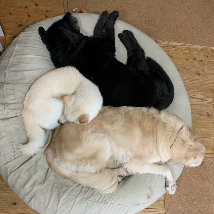 8238bf60 56de 42a9 bad8 1d15fc5312be 1610949232185