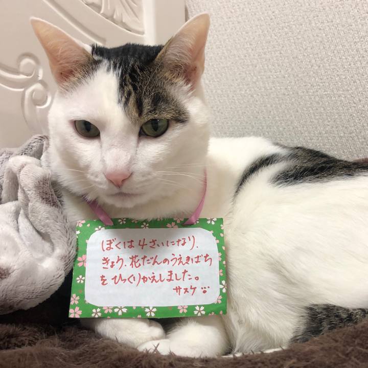 8238c876 ba20 4c82 849e c376ca3f072f 1588499599760