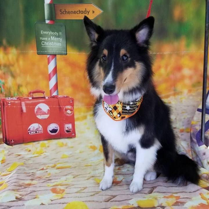 823925df 0bd3 481a 8365 3ed0c5c67a06 1540244759258