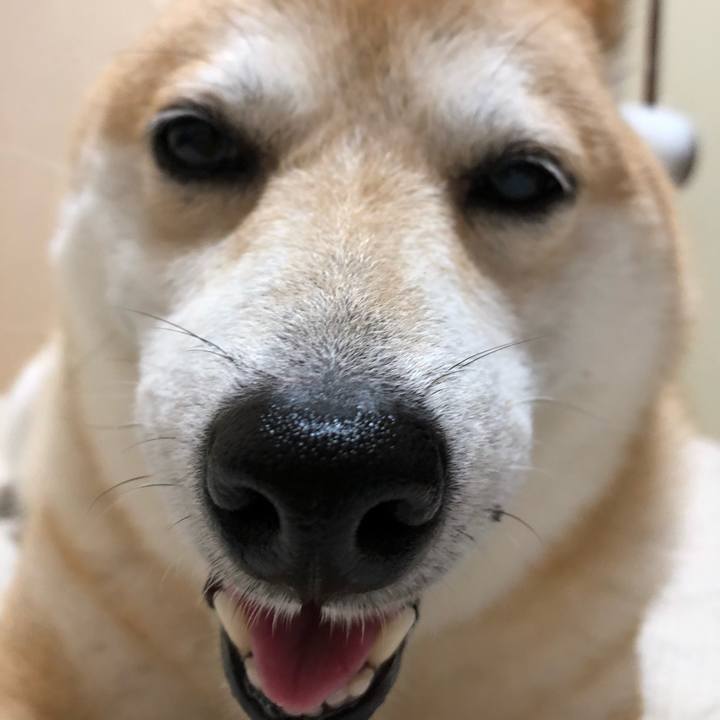 82393771 d557 46d4 89b9 ca380ce316b6 1564755006529