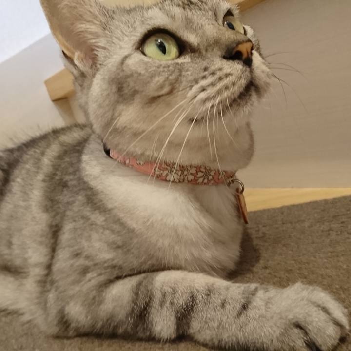 82396ae6 c2b0 4352 958a 100ba65d36c6 1541667175675