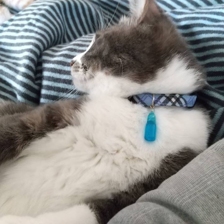 82397fa1 daf0 4dd1 919c 9cc9353c2edd 1615247387498