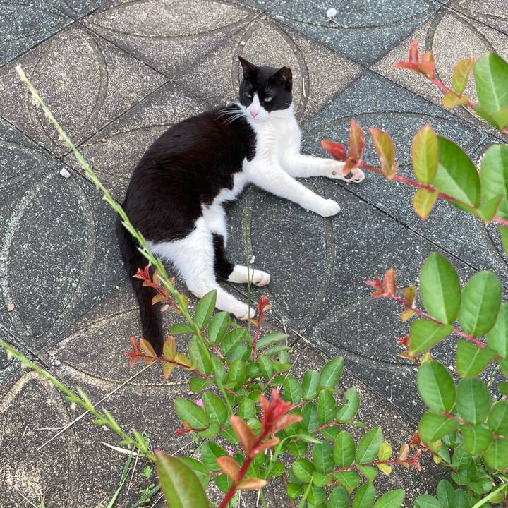 82399004 5490 4446 8e4f ff7ba1f39379 1594281717260